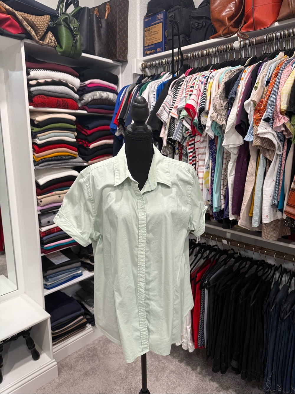 Liz Claiborne Pastel Mint Short-Sleeve Button-Down Shirt